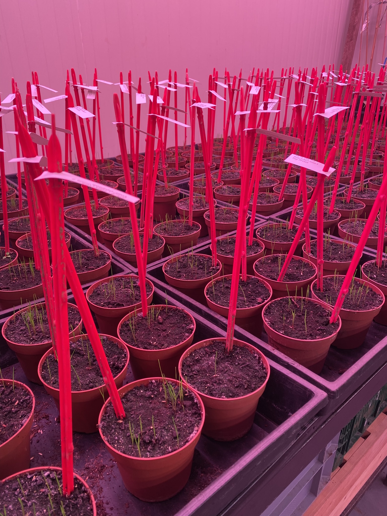 Screening biostimulanten 1