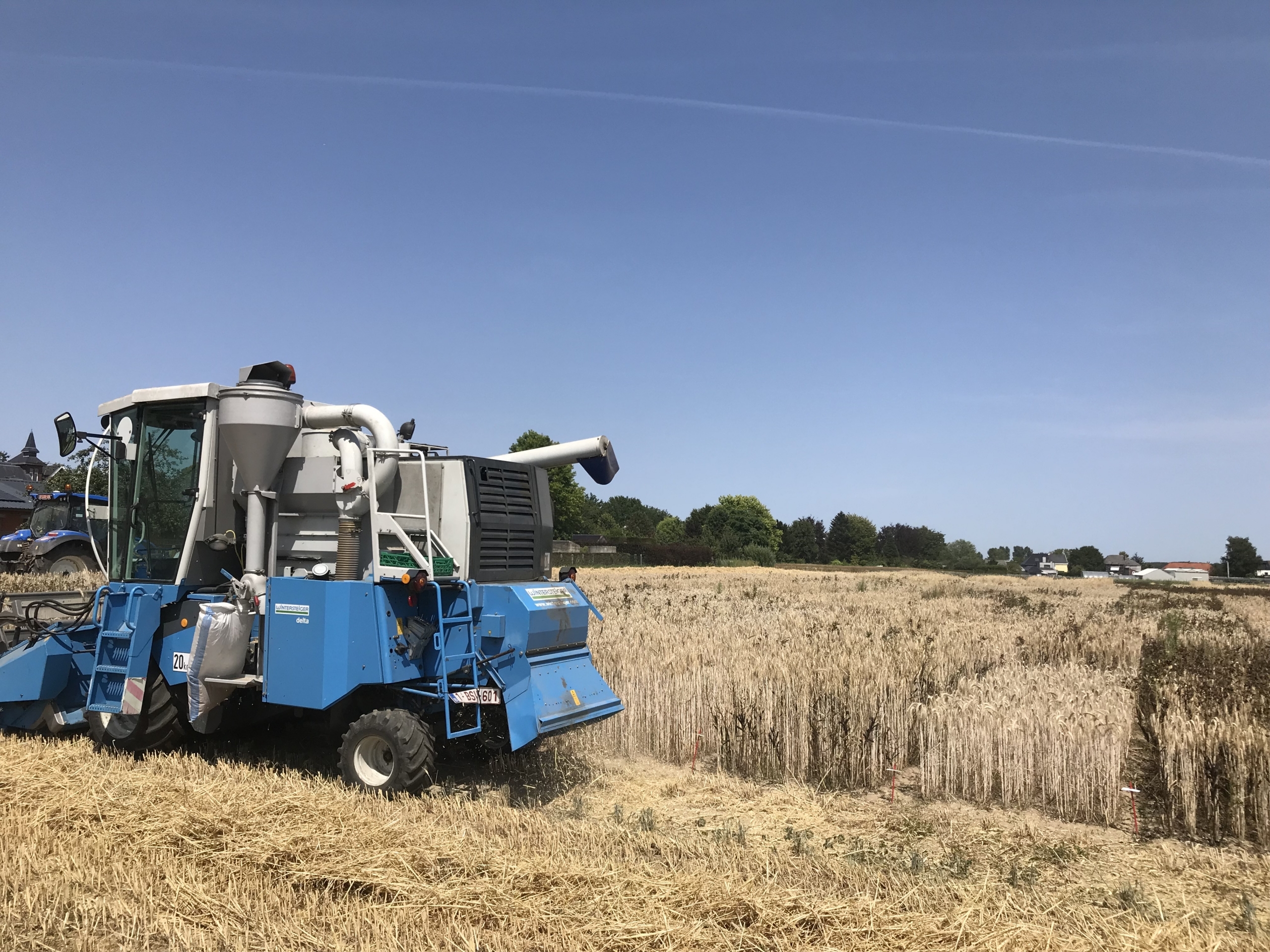 Oogst granen eiwitgewassen