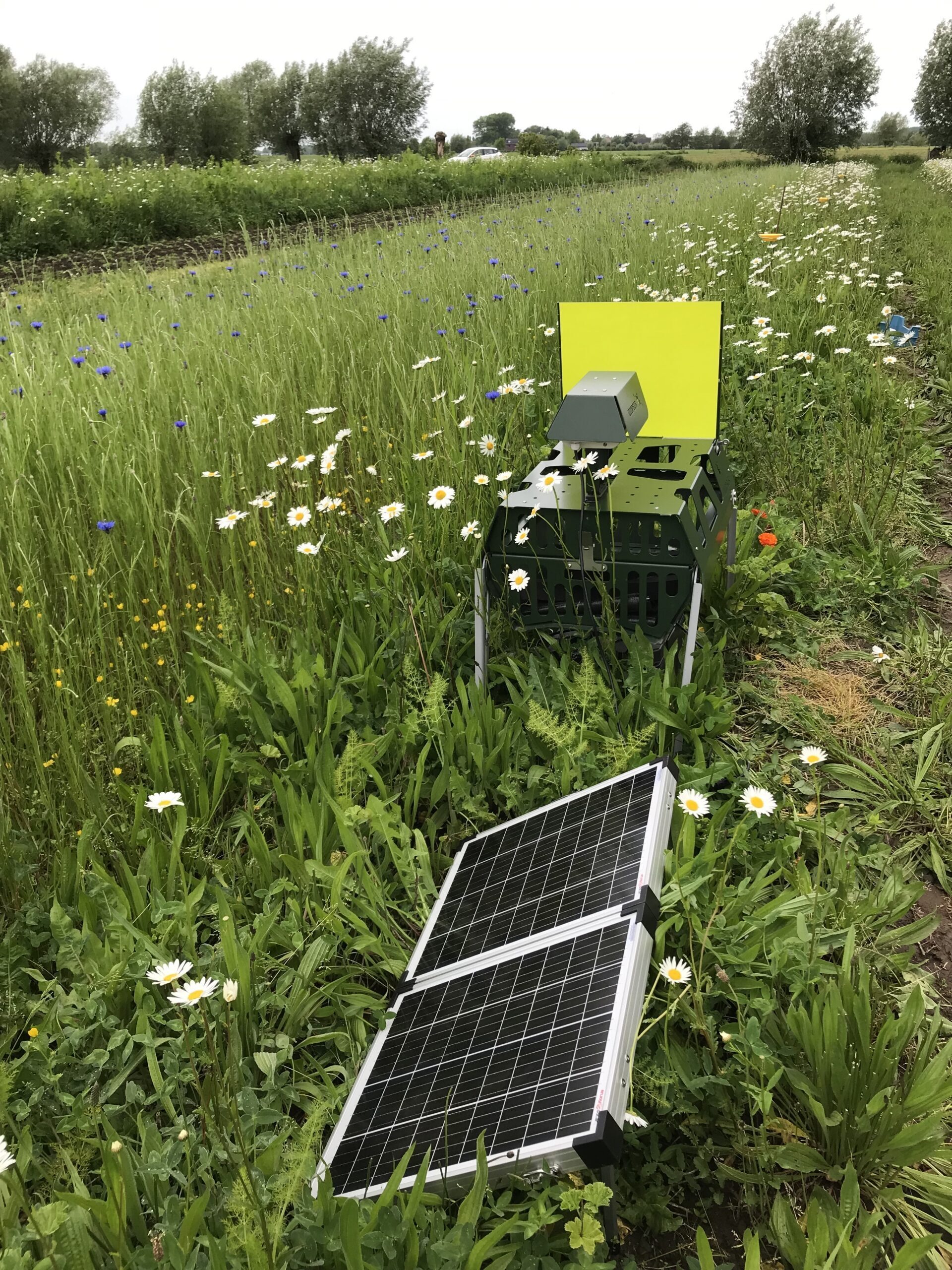 Automatische insectenmonitoring 1